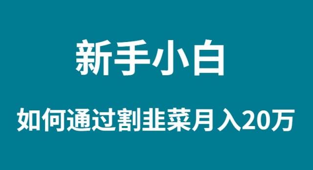 新手小白如何通过割韭菜月入 20W-易创网