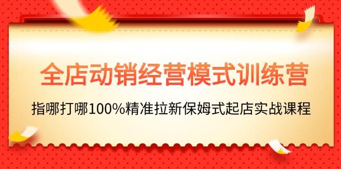 全店动销-经营模式训练营，指哪打哪100%精准拉新保姆式起店实战课程-最新项目