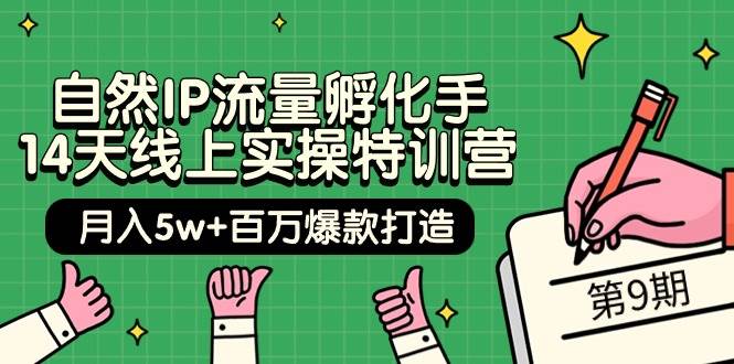 自然IP流量孵化手 14天线上实操特训营【第9期】月入5w+百万爆款打造 (74节)-易创网