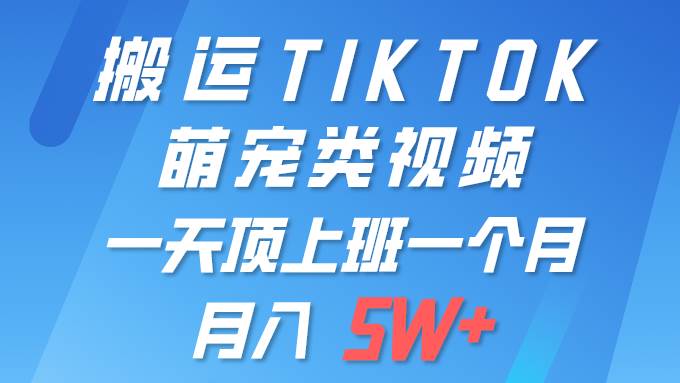 一键搬运TIKTOK萌宠类视频 一部手机即可操作 所有平台均可发布 轻松月入5W+-易创网