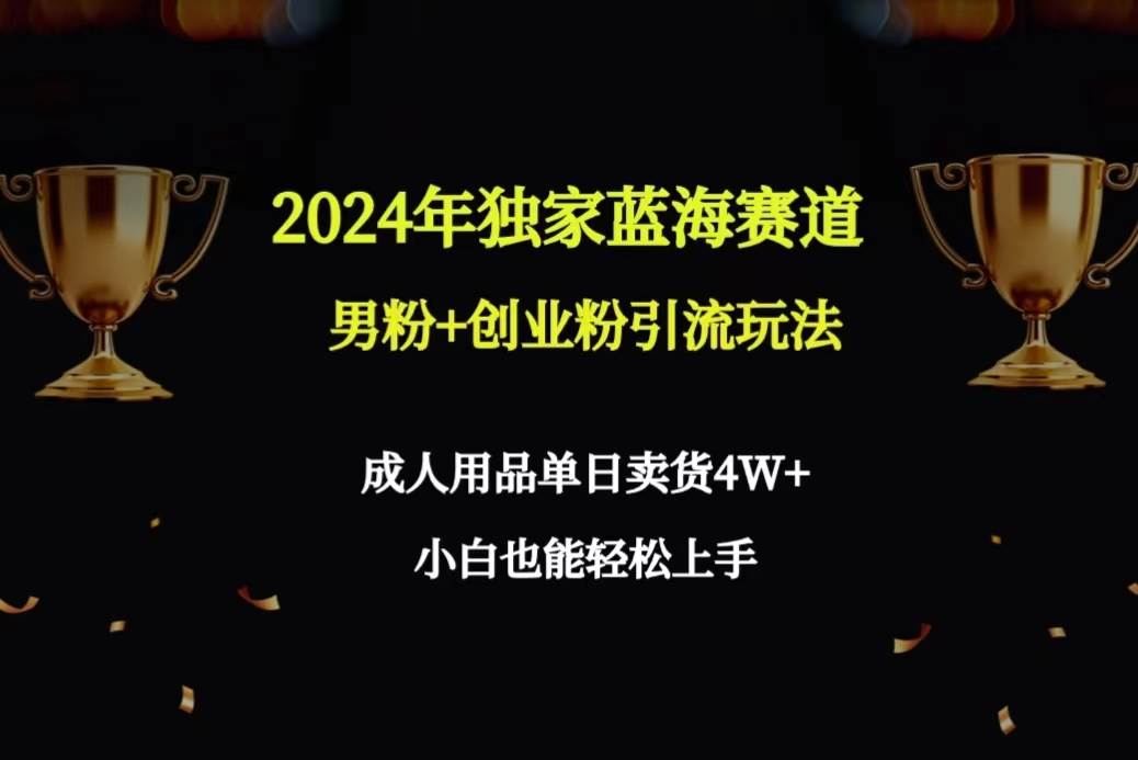 2024年独家蓝海赛道男粉+创业粉引流玩法，成人用品单日卖货4W+保姆教程-易创网