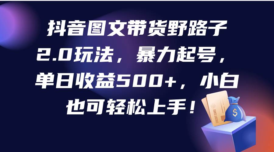 抖音图文带货野路子2.0玩法，暴力起号，单日收益500+，小白也可轻松上手！-易创网