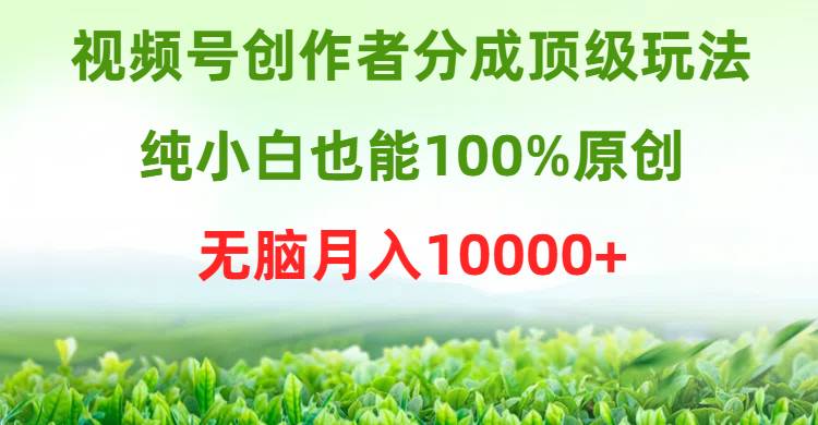 视频号创作者分成顶级玩法，纯小白也能100%原创，无脑月入10000+-易创网