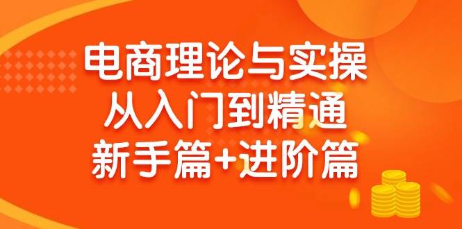 电商理论与实操从入门到精通 新手篇+进阶篇-易创网