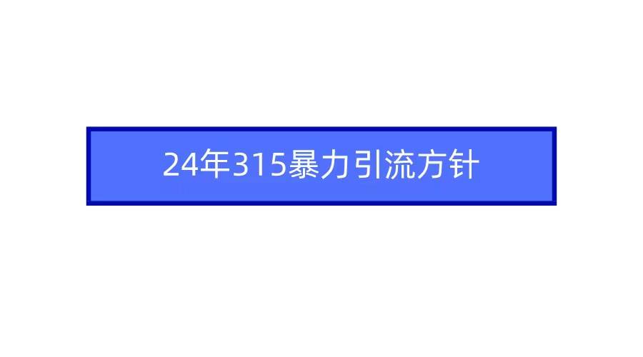 2024年315暴力引流方针-易创网