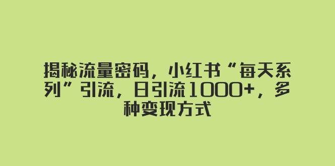 揭秘流量密码，小红书“每天系列”引流，日引流1000+，多种变现方式-易创网