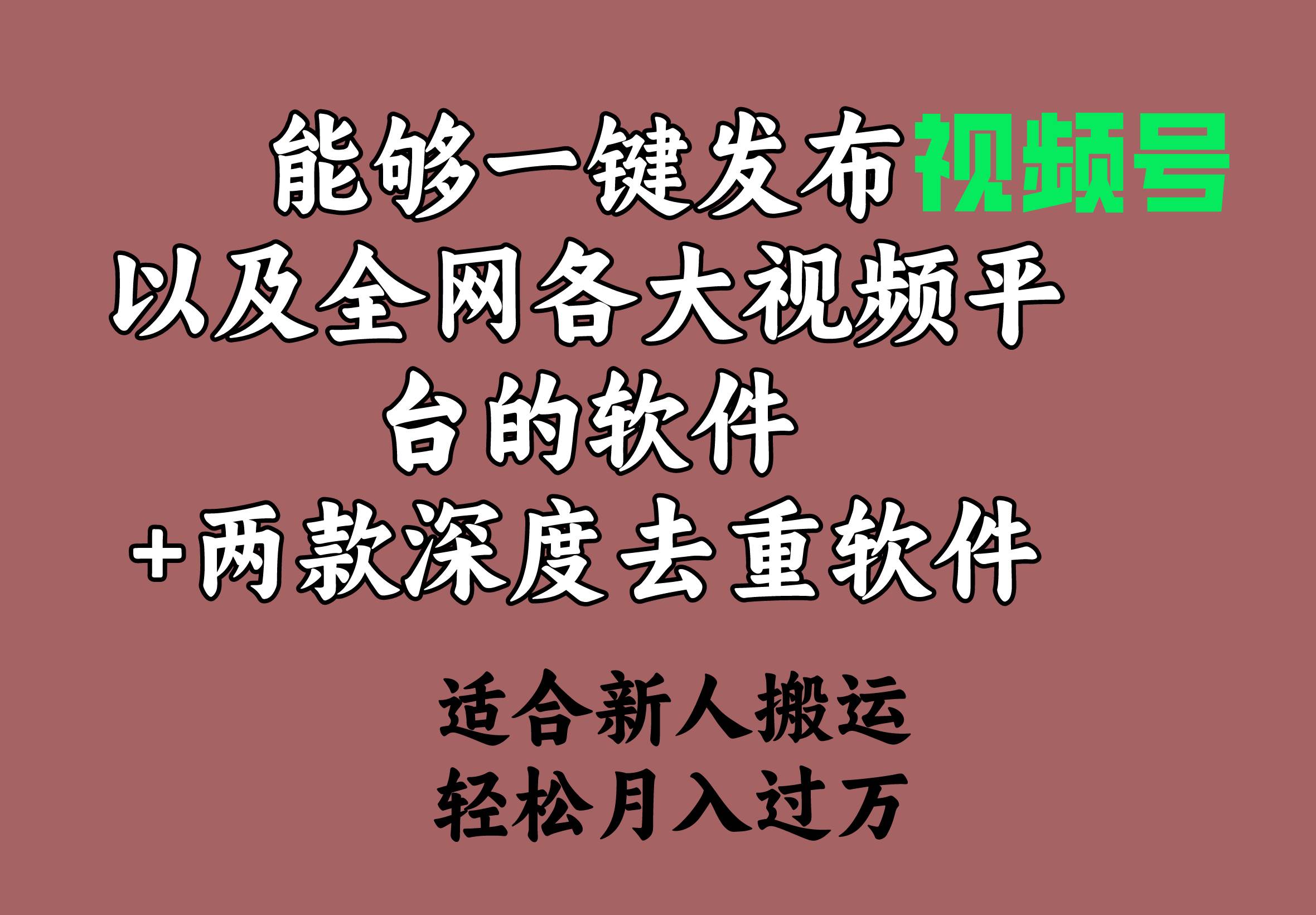 能够一键发布视频号以及全网各大视频平台的软件+两款深度去重软件 适合…-易创网