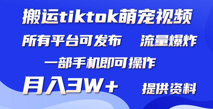 搬运Tiktok萌宠类视频，一部手机即可。所有短视频平台均可操作，月入3W+-易创网