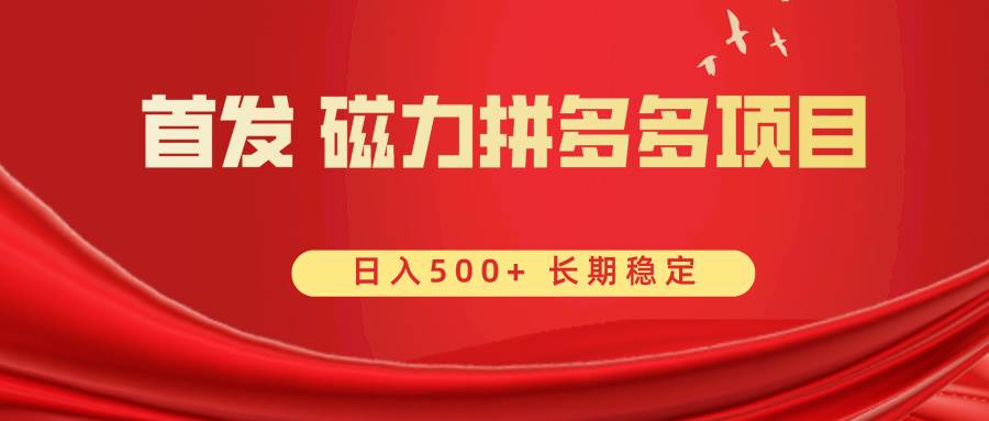 首发 磁力拼多多自撸  日入500+-易创网