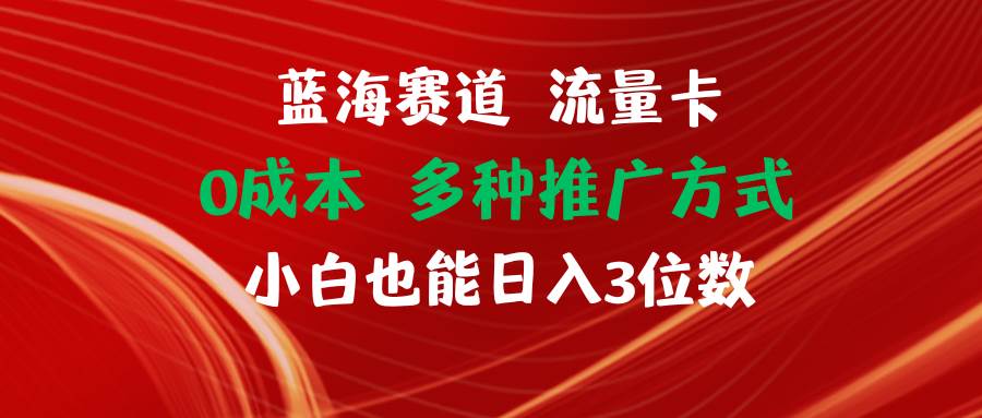 图片[1]-蓝海赛道 流量卡 0成本 小白也能日入三位数-最新项目