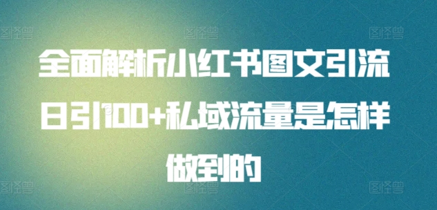 日引流100私域流量小红书图文是怎样做到的全面解析-最新项目