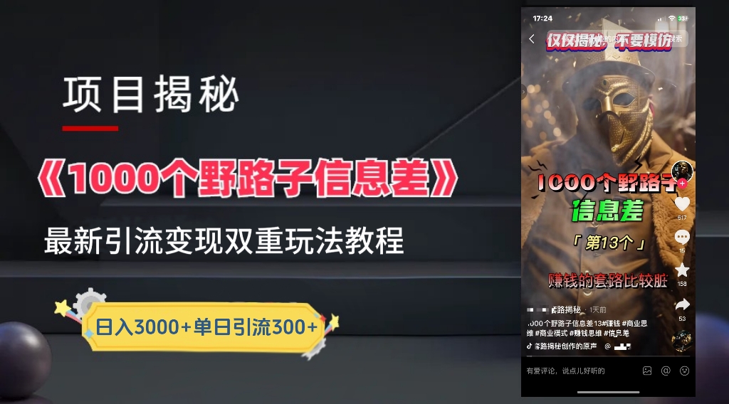 一千个野路子信息差24年最新玩法教程附带变现方法和引流的玩法具体拆解-最新项目