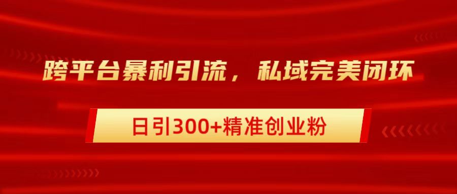 跨平台暴力引流，私域完美闭环，日引300+精准创业粉-最新项目