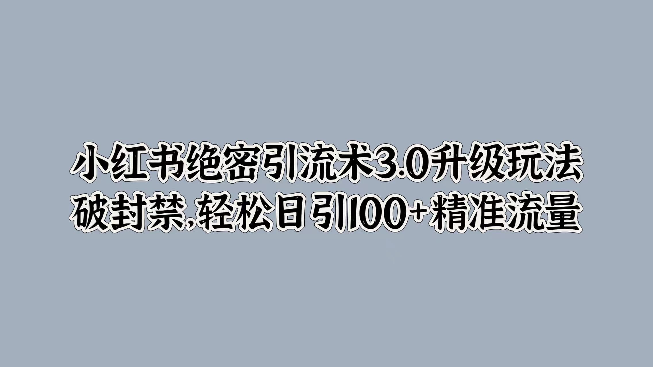 小红书绝密引流术3.0升级玩法，破封禁，轻松日引100+精准流量-最新项目