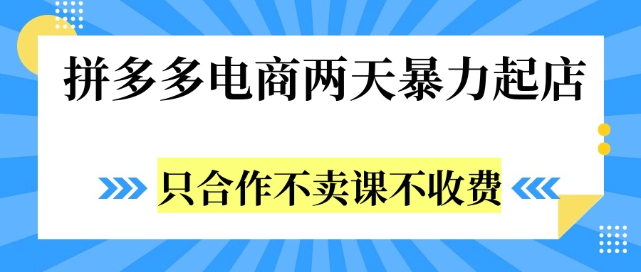 拼多多两天暴力起店，只合作不卖课不收费-最新项目