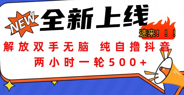 解放双手无脑 纯自撸抖音 两小时一轮500+-易创网