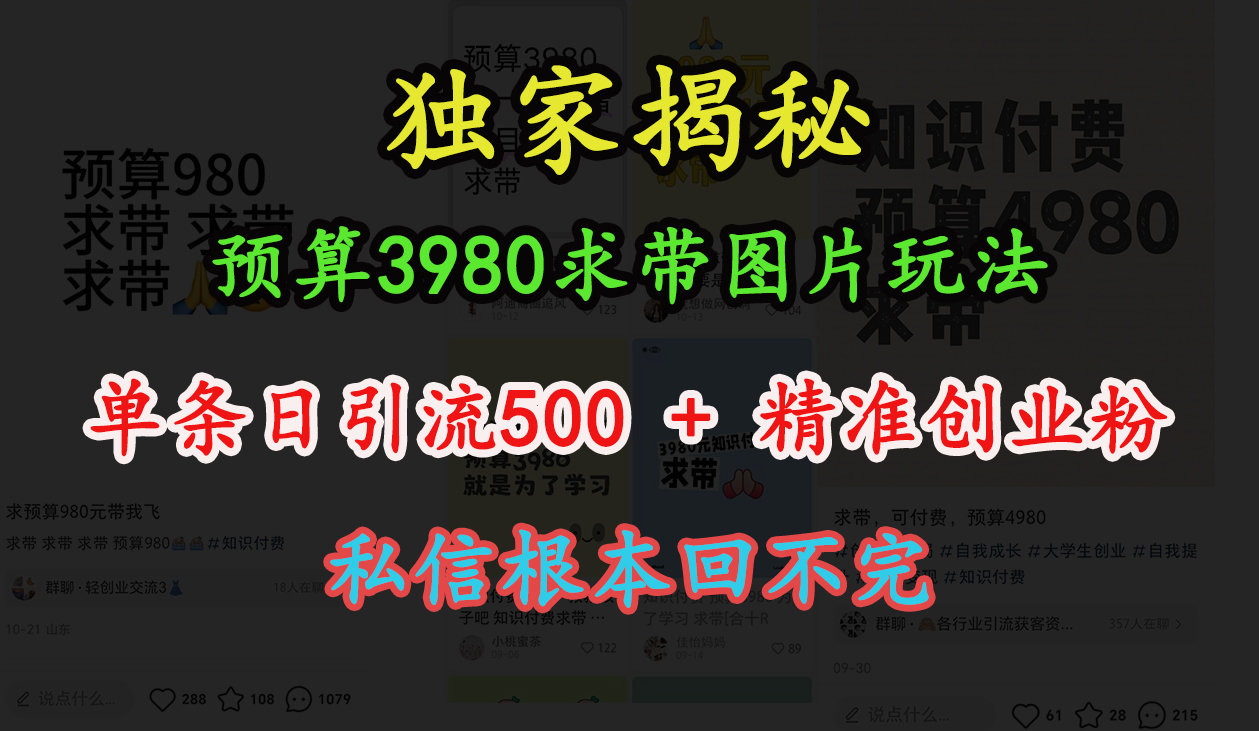 “小红书”预算3980求带 图片玩法，单条日引流500+精准创业粉，私信根本回不完-易创网