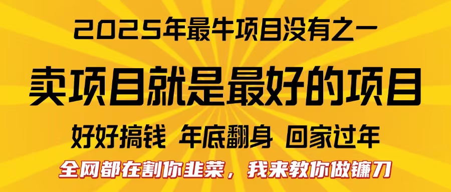 全网都在割你韭菜，我来教你做镰刀。卖项目就是最好的项目，2025年最牛互联网项目-易创网