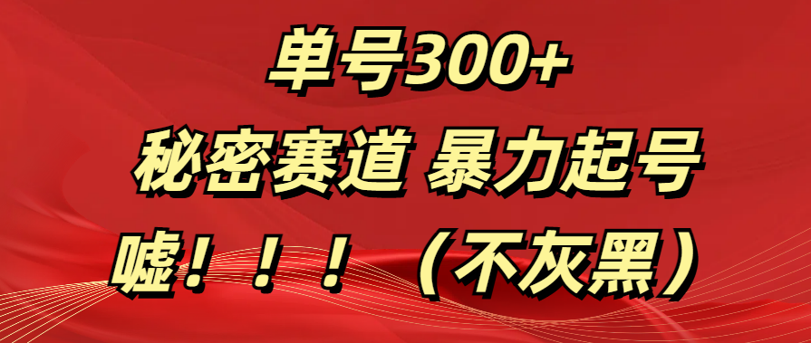 单号300+  秘密赛道 暴力起号  （不灰黑）-易创网