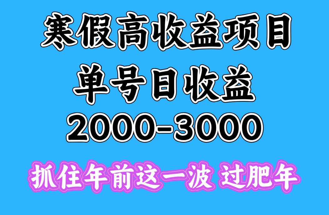 寒假期间一天收益2000-3000+，抓住年前这一波-副业资讯大全