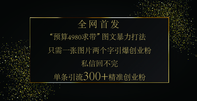 小红书，“预算 4980 带我飞” 的神奇图片引流法，堪称涨粉核武器！只需一张图，就能单条笔记凭借此方法，轻松引流 300 + 精准创业粉！-辰阳网创