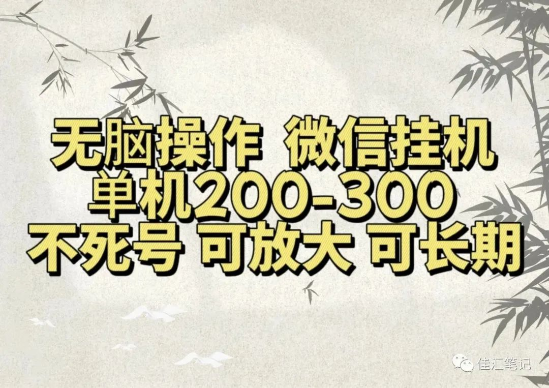 无脑操作微信视频号挂机单机200-300一天，不死号，可放大，工作室实测-辰阳网创